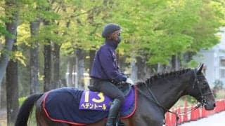 【天皇賞・春・超ブル診断データ編】過去４年で勝ち馬３頭が父の父キングカメハメハ　２４年菊花賞で好走２頭が１着候補