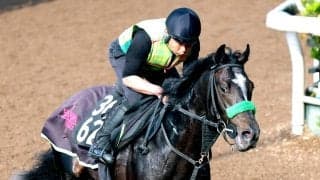 【ユニコーンＳ】底を見せないメルカントゥールは距離延長がプラス　杉山晴調教師「かえって１９００メートルの方が…」