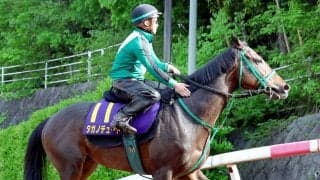 【天皇賞・春】宮調教師「楽しみなチャレンジ」　充実期タガノデュードが未知の３２００メートルに挑む