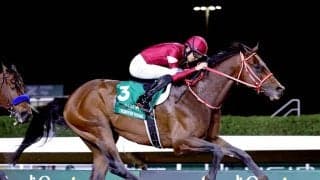 ロイヤルアスコット開催に登録の日本馬を発表　フォーエバーヤング、サトノレーヴ、アイサンサンなどがエントリー