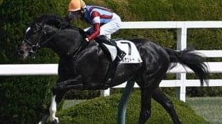 【ユニコーンS展望】前走圧勝のメルカントゥールが重賞でも中心