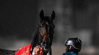 【大井・羽田盃注目馬】ダート三冠が開幕！ 第一関門を制し主役に名乗り上げる馬は