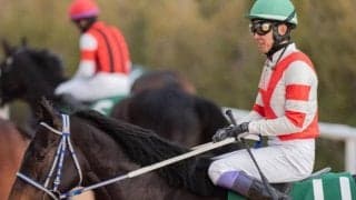 武豊騎手が京王杯SCの26年ぶり4勝目へ 末脚自慢のヤブサメで一発狙う