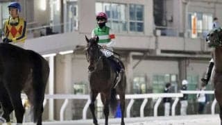 【羽田盃】西村淳「厳しい競馬でした」断然人気ロックターミガンは2着