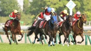 【フローラS】レーン「2400mこなせそう」ラフターラインズがオークス切符
