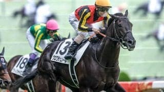 【天皇賞(春)展望】好走データを完備するクロワデュノールが春2冠へ