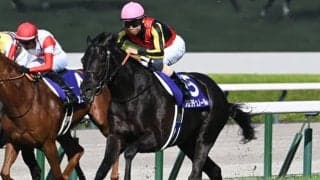 【天皇賞(春)枠順確定】クロワデュノールは4枠7番、ヘデントールは7枠12番