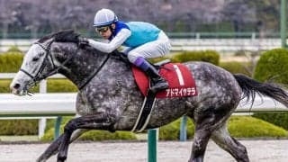 【天皇賞(春)・調教後馬体重】アドマイヤテラは514kg、クロワデュノールは520kg