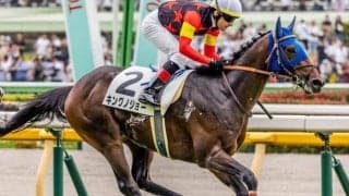 セレクト3.1億円の良血 キングノジョーがオープン昇級狙う