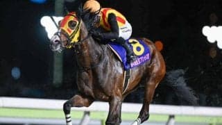【大井・東京プリンセス賞結果】ヘスペリスが差し切って僅か4戦目での戴冠 アンジュルナは2着