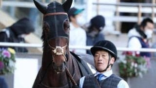 障害2勝のインディゴブラック 約2年ぶりの平地参戦だ