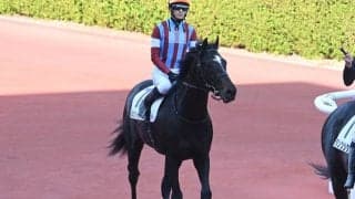 【ユニコーンS枠順確定】メルカントゥールは8枠11番、シルバーレシオは4枠4番
