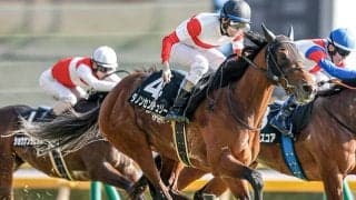 【京王杯SC枠順確定】ダノンセンチュリーは1枠2番、ファンダムは7枠13番