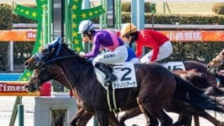 コインの日に振り返る 競馬界で直近に生まれた配当にまつわる記録とは