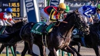 【京都新聞杯想定馬・騎手】ベレシート、エムズビギンなど16頭