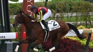 【ユニコーンS予想】前走の馬体重に顕著な傾向あり！ 大型馬は前走4コーナーでの位置取りに注意