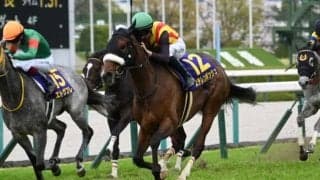 【エプソムC想定馬・騎手】ステレンボッシュ、トロヴァトーレなど17頭
