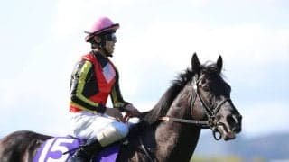 【天皇賞・春】クロワデュノール は4枠7番、アドマイヤテラは2枠3番