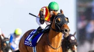 【かしわ記念】ゴールデンウィーク決戦にコスタノヴァら豪華メンバー集結！