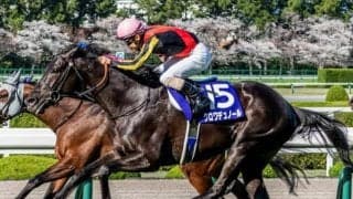 グレードレースが5日連続 ゴールデンウィークは競馬がアツい