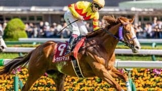 京王杯SCは4歳馬が好成績 押さえておきたい産駒は？