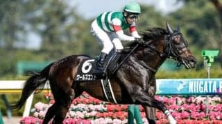 【京王杯SC予想】安田記念前哨戦 距離適性と位置取りがカギ握る