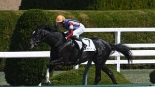 【ユニコーンS予想】ダート路線再編で様相一変 力比較難解な3歳重賞のゆくえは