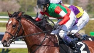 半兄は名馬キタサンブラック アルマデオロが待望の3勝目狙う