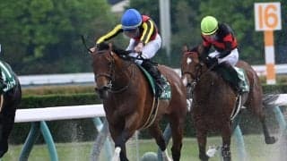 【JRA・WIN5】本日のWIN5は的中61票、配当525万8560円