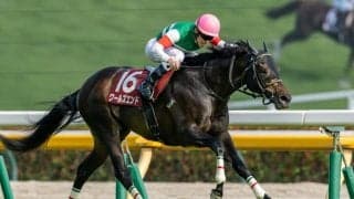 【京王杯SC】ワールズエンドがしぶとく逃げ切る…内外離れた接戦