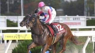【園田・兵庫CS枠順】3歳ダート短距離王決定戦 同舞台で重賞勝ちがあるトウカイマシェリは7枠9番