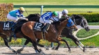 【是政S】レーン騎乗リアライズカミオンがハナ差V、接戦制しオープン入り