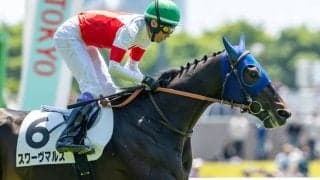 【東京4R】2億円ホース、スワーヴマルスが人気に応える