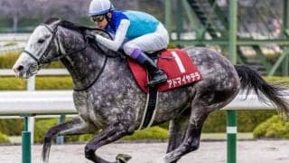 【天皇賞(春)】霜降り明星・粗品はアドマイヤテラを信頼 対抗には伏兵を指名 