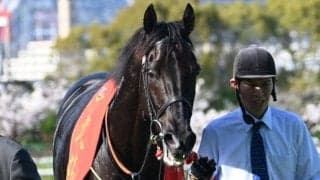 【今日の注目ポイント】古馬長距離王決定戦・天皇賞(春) 