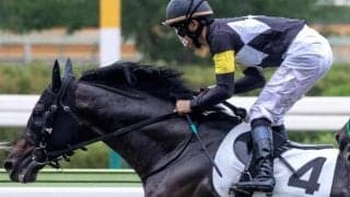 半兄はKYダービー馬 JRA最年長のディープ産駒が約1年9カ月ぶりの復帰戦だ