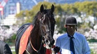 【天皇賞(春)・馬体重】クロワデュノールは514kg(-8)、アドマイヤテラは500kg(-4)