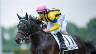 【京都4R】コントレイル産駒 マジョレルブルーが人気に応える