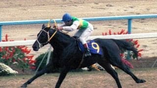 『ウマ娘』でも描かれるカリスマ性　常識を覆す型破りな走りで史上３頭目の三冠馬となったミスターシービー