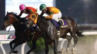 【高知・黒潮皐月賞】カツテナイオイシサが気迫の追い込みでハナ差V、激戦を制す