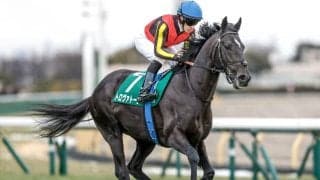【エプソムC見どころ】鋭い決め手の持ち主トロヴァトーレを支持