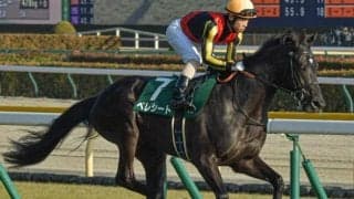 【京都新聞杯想定騎手】ベレシートは北村友一騎手、エムズビギンは川田将雅騎手