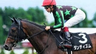 【先週のJRA抹消馬】中央最後のマンハッタンカフェ産駒ダンディズム、地方所属時に重賞2勝のルーンファクターなど