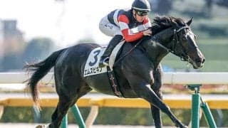 【京都新聞杯展望】好走条件を全て満たすエムズビギンが重賞初制覇へ