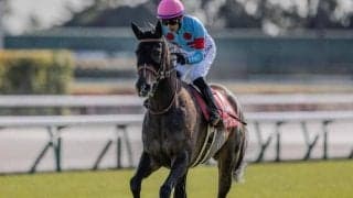 【ヴィクトリアM出走馬決定順】フルゲート18頭に20頭登録 サフィラとチェルビアットが除外対象