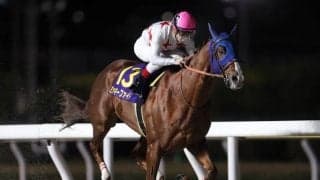 【船橋・かしわ記念注目馬】上半期の地方ダートマイル王決定戦に好メンバー集結