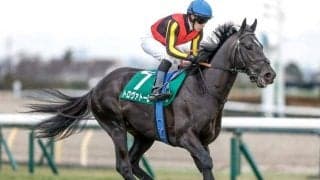 【エプソムC予想オッズ】トロヴァトーレが予想1番人気