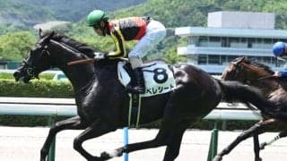【京都新聞杯予想オッズ】ベレシートが予想1番人気