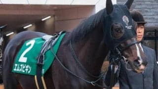 【京都新聞杯】セレクト5.9億円のエムズビギン 史上最高価格のJRA重賞勝ち馬となるか