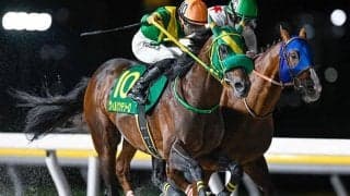 【船橋・かしわ記念結果】ウィルソンテソーロが差し切ってJpnI3勝目を挙げる